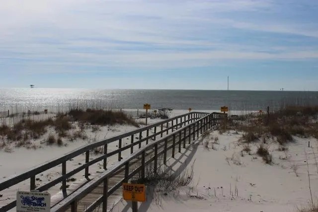 Dunesberry